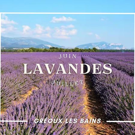 Oasis Tranquille - L'Evasion Au Verdon Greoux-les-Bains Exterior photo
